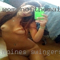 Moines swingers